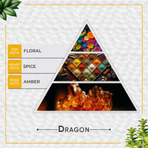 DRAGON Faborit Dragon Eau de Parfum – Woody Musky Oriental