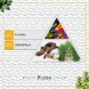Faborit Flora Eau de Parfum – Florals & Orientals