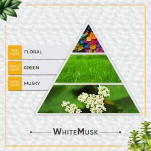 IMG_3087 Faborit White Musk Eau de Parfum – Floral Green Musky